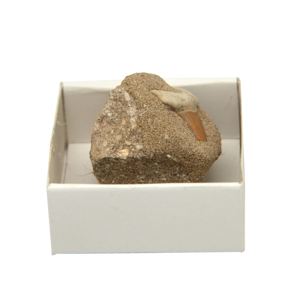 RockDesign