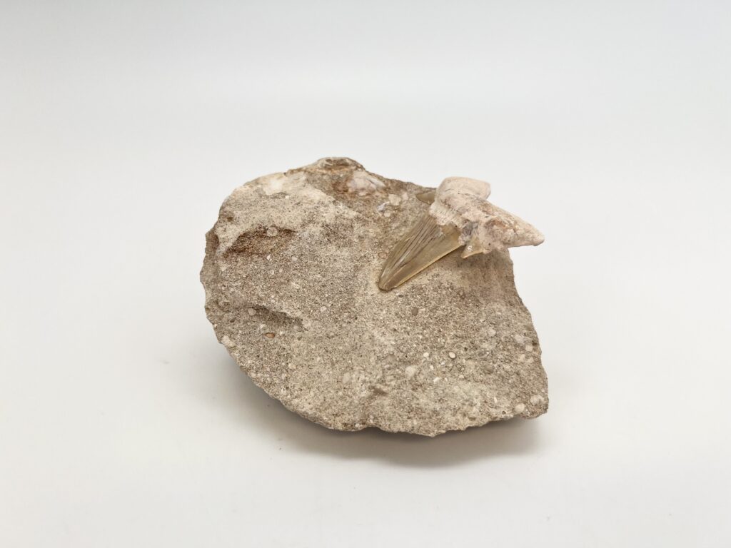 RockDesign
