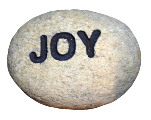 Elvestein joy