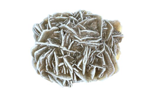 Sandrose stor 3cm